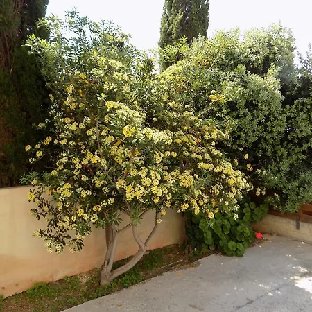 Guest house Kyriakos Court *